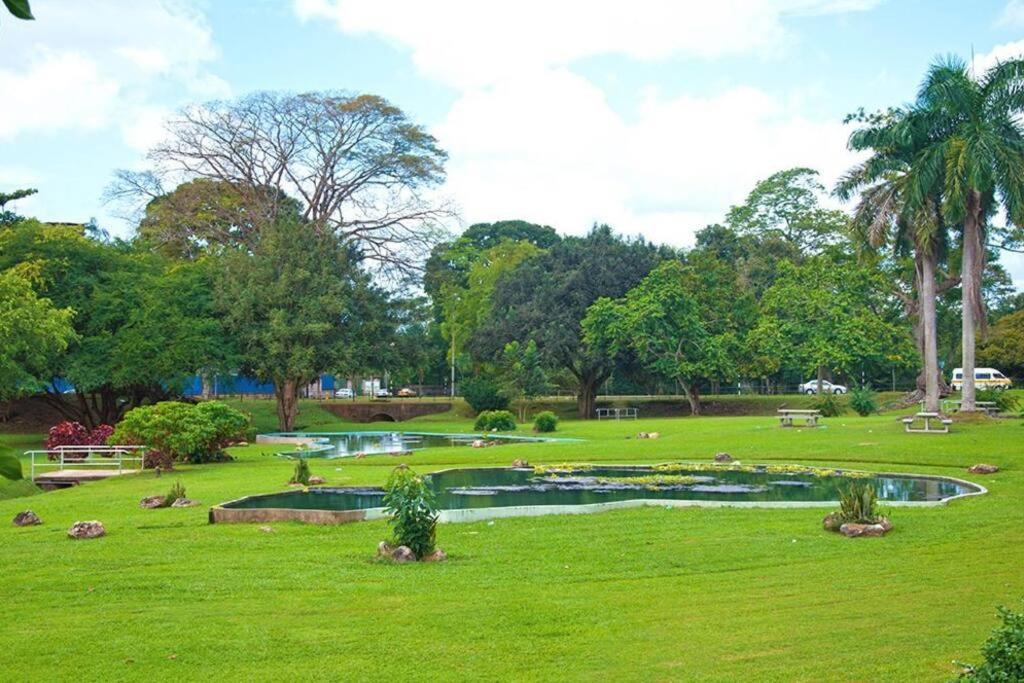Raynebow Chateau - Chic City Getaway Port of Spain Exteriör bild